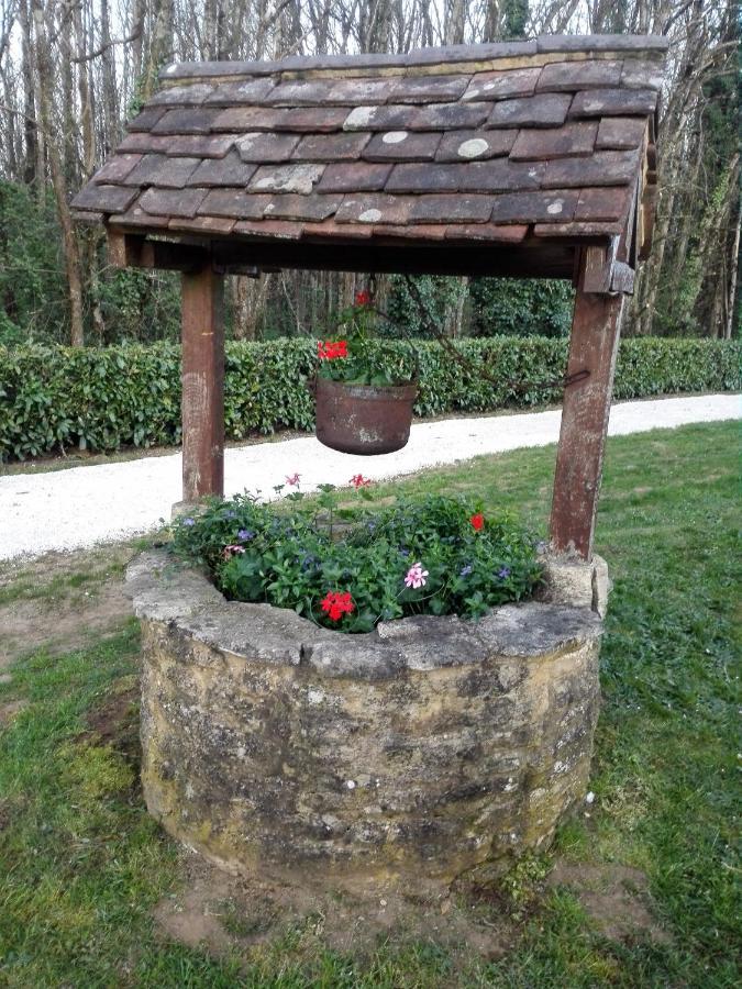 Le Chalet Douillet Saint-Genies Екстер'єр фото